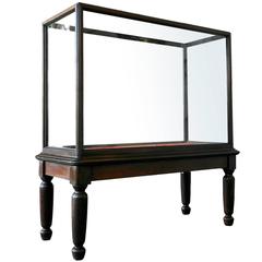 20th Century Monumental Glazed Museum Display Cabinet