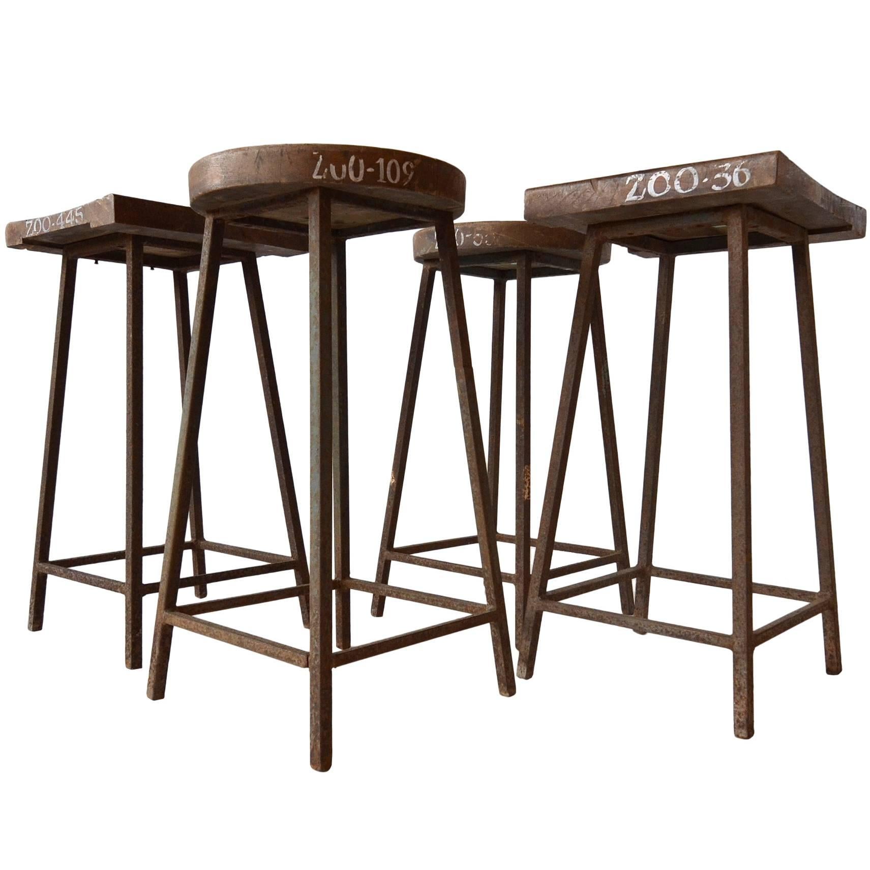 Rare Pierre Jeanneret Solid Stools for the Zoological Department