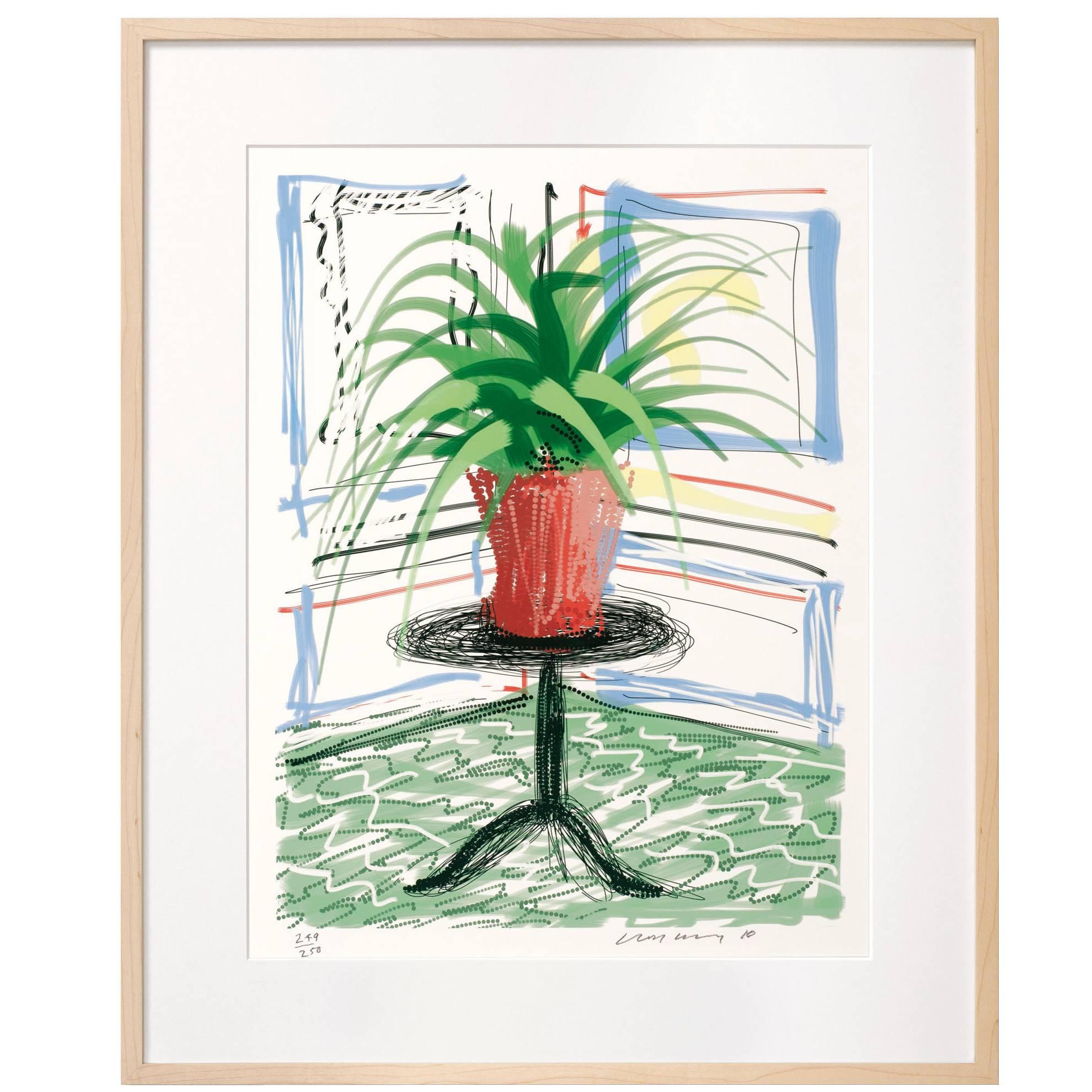 David Hockney, a Bigger Book, Art Edition C, No. 501–750