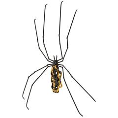 Large Wall-Mounted Yellow and Back Spider