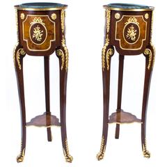 Vintage Pair of Louis XV Kingwood and Walnut Pedestals Stands