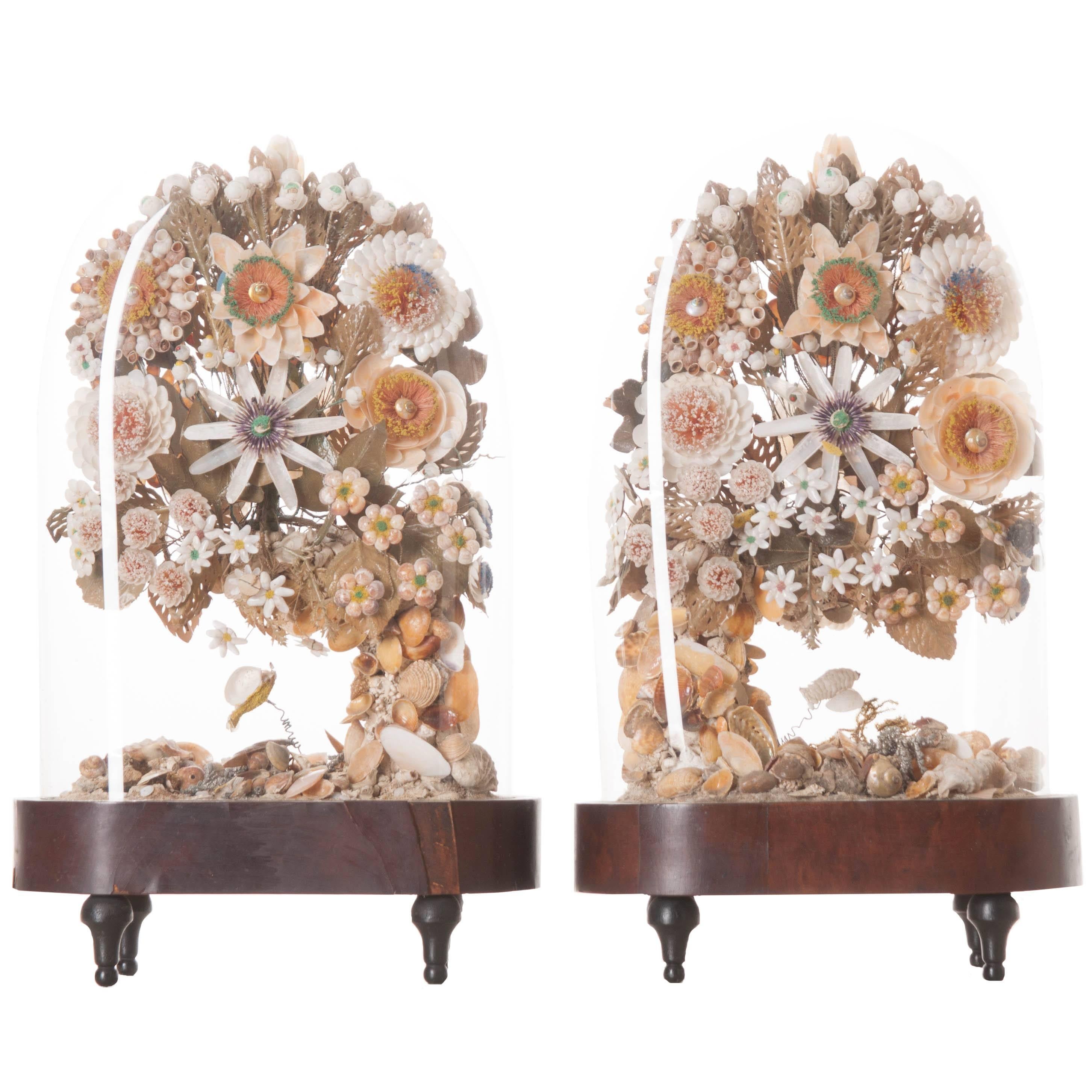 Pair of Victorian 19th Century Glass Domes with Sailor Shell Flowers