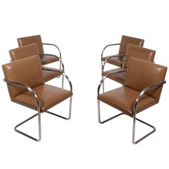 Set of Six Brno Chairs by Mies van der Rohe for Knoll 3