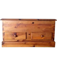 20th Century Trunk for Storage 2