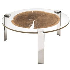 Round Thin Tree Slice Coffee Table, Italy, Contemporary