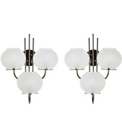 Pair of Sconces by Tito Agnoli for Oluce