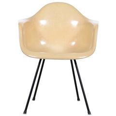 Chaise de salle à manger Eames Parchment Dax pour Herman Miller USA Zenith Second Generation
