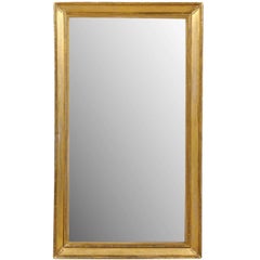 19th Century French Gilt Wood Mirror with Diagonal Leaf Motifs and Gold Color