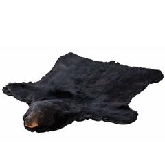 Authentic American Black Bear Skin Rug