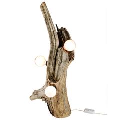 Found Birch "RANDOLPH ST LIGHT" 5