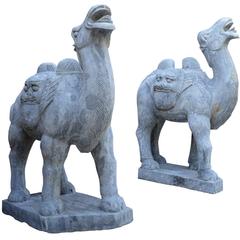  Large Pair of Chinese Carved Stone Bactrian Camels