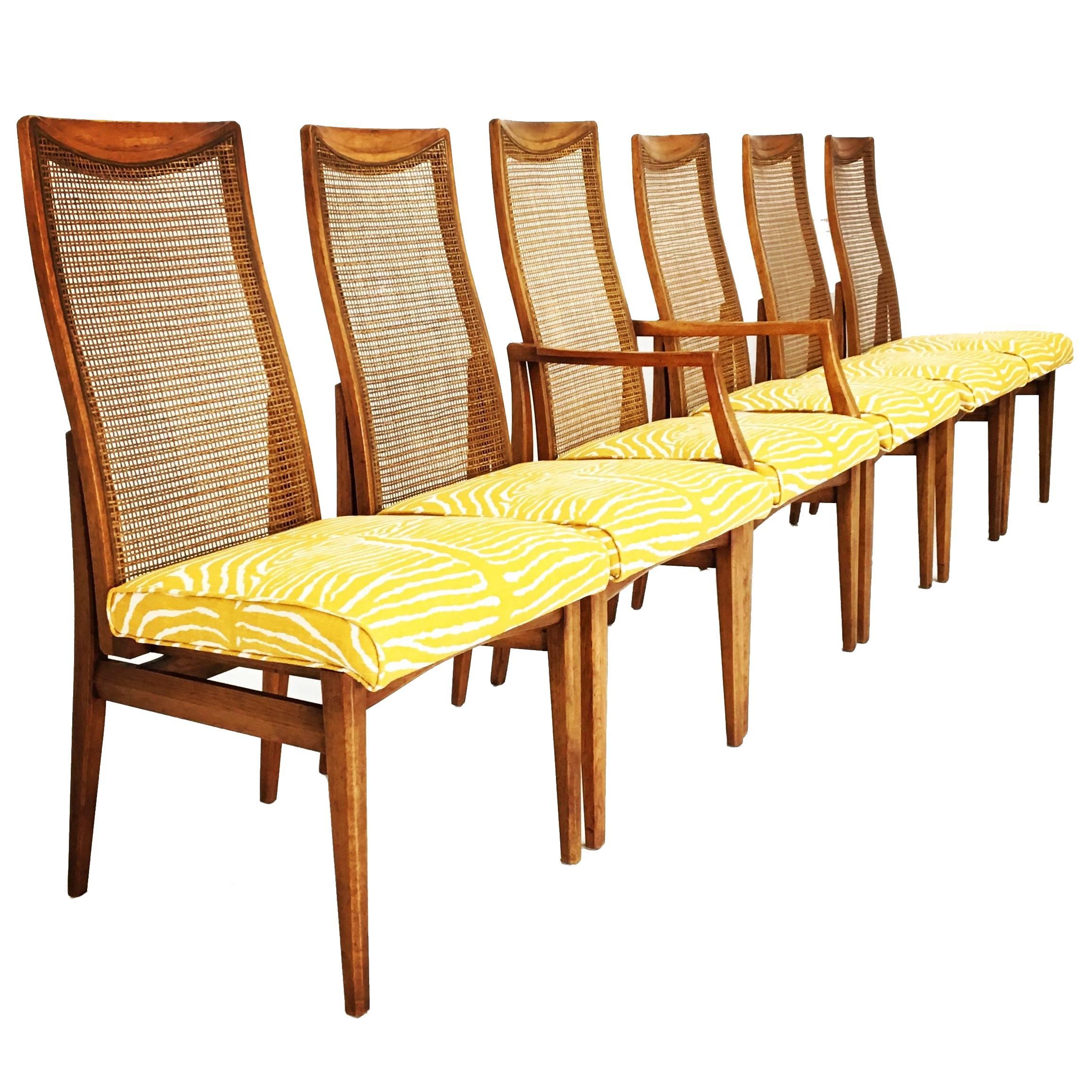 Set of Six Mid-Century Modern Caned Zebra Dining Chairs For Sale