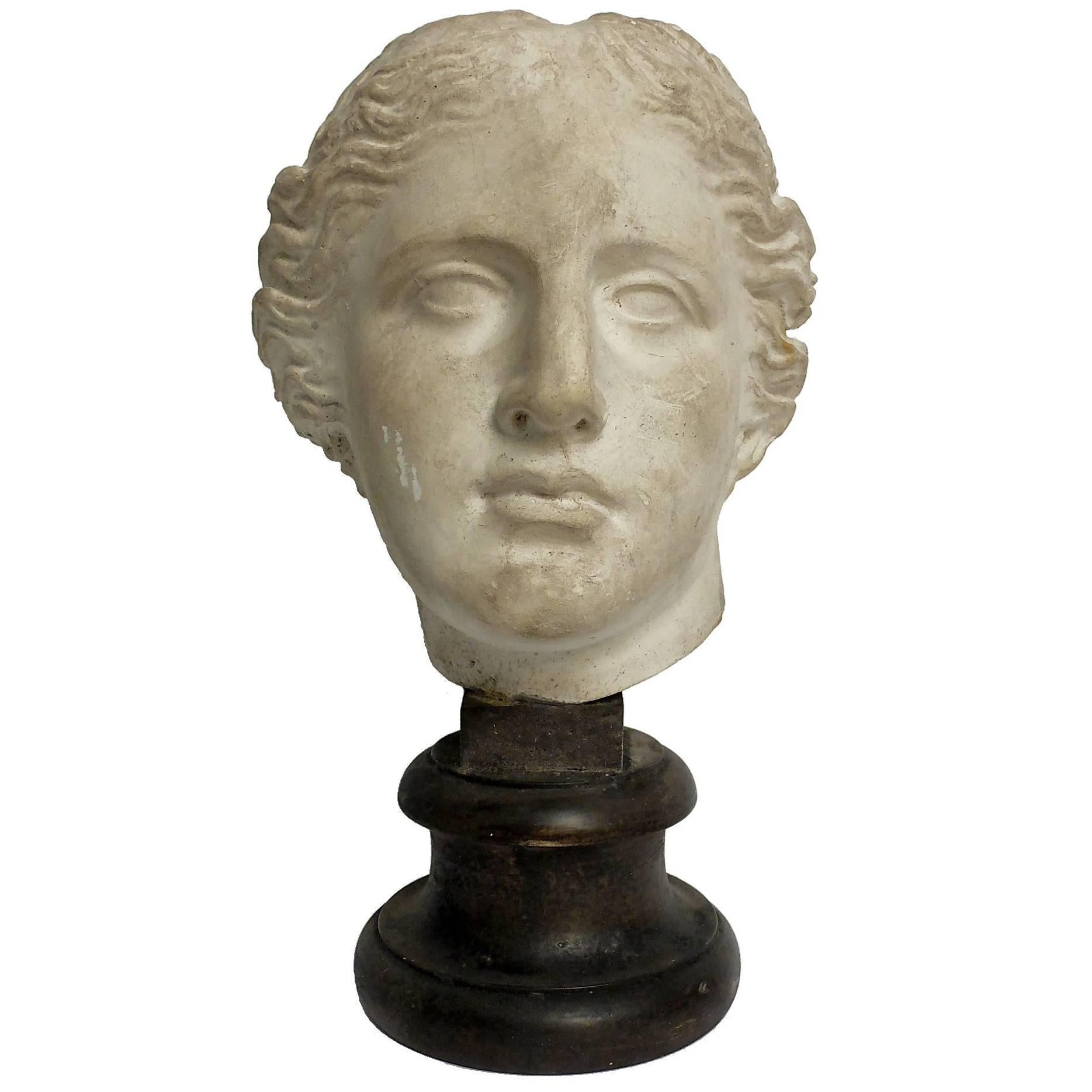 Academic Cast of Plaster Depicting a Nike Head