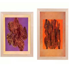 Josef Albers Abstract Leaves Lithographs from Interaction of Color 8