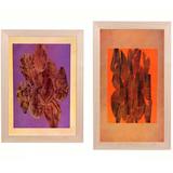 Josef Albers Abstract Leaves Lithographs from Interaction of Color