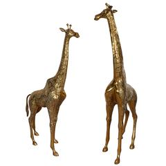 Pair of Giraffe Sculptures in Brass