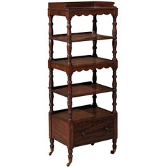 19th Century English Mahogany Trolley with Five Shelves and Drawer