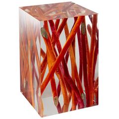 Kisimi Fluo Side Table in Acrylic Glass and Burnt Wood