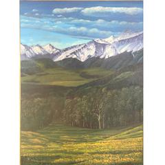 Used Large Rocky Mountains Landscape Painting Colorado