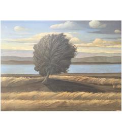 Deserts Cape Oil on Canvas Mohave like Scene Painting