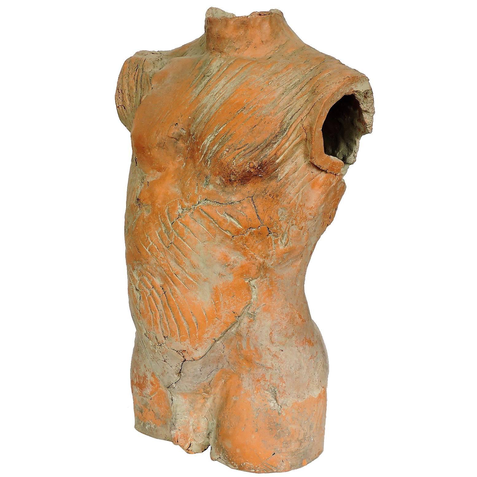   Life Size Male Nude Torso Sculpture