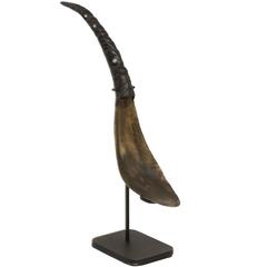 Antique Northwest Coast Native American Carved Horn Spoon, Haida, 19th Century