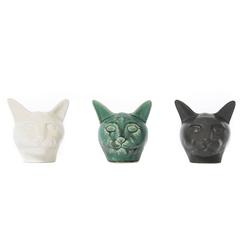 Cat Head Tryptic