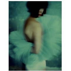 "Feather", Photograph by LiliRoze 4