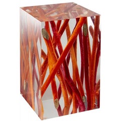 Kisimi Fluo Side Table in Acrylic Glass and Driftwood