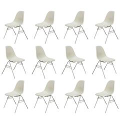 Eames Parchment Shell Chairs on Stacking Base 2
