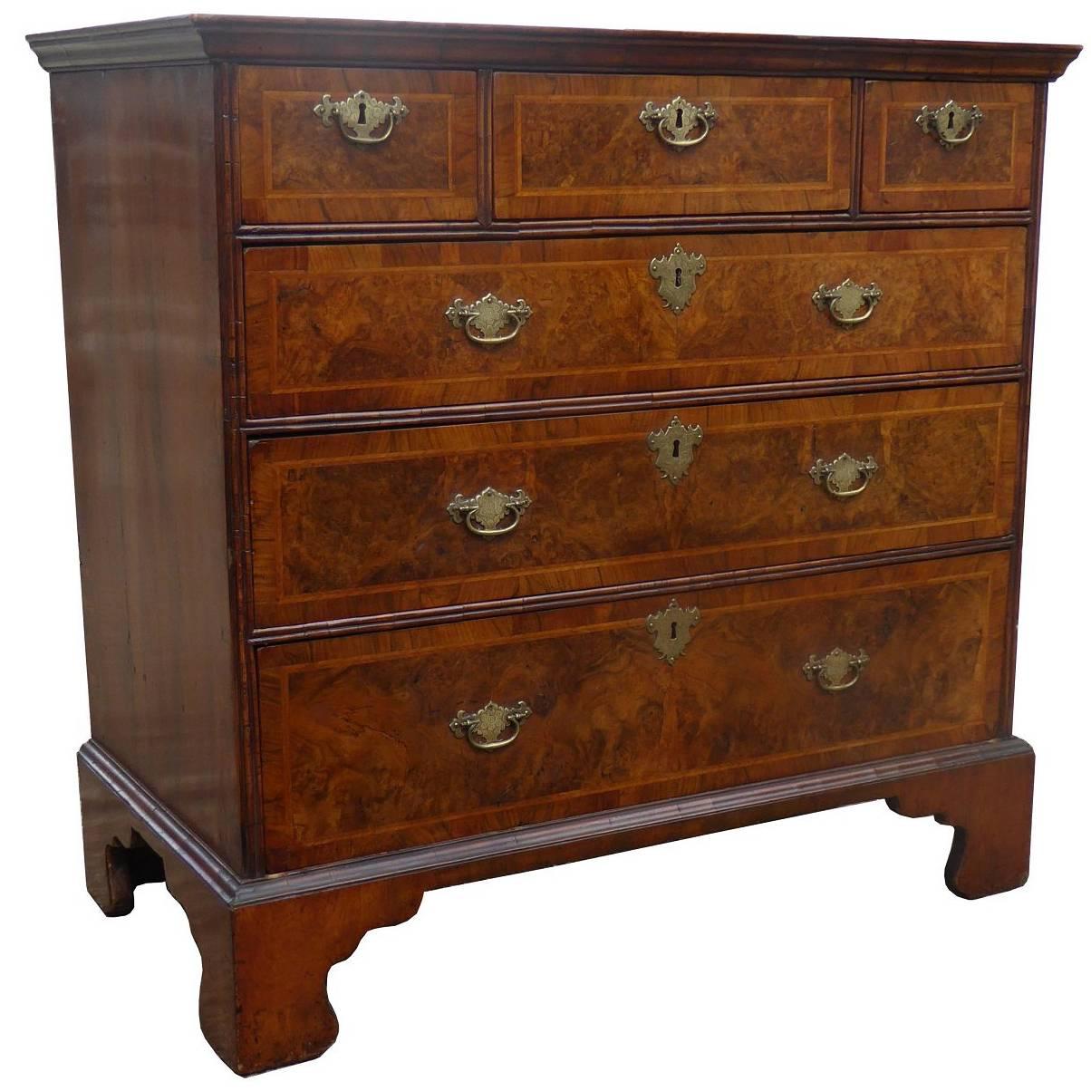 George III Burr Walnut Chest of Drawers