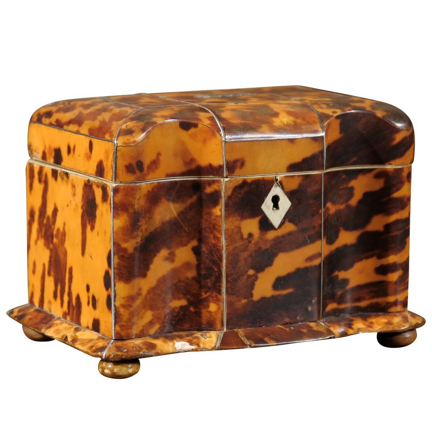 19th Century English Regency Tortoiseshell Tea Caddy