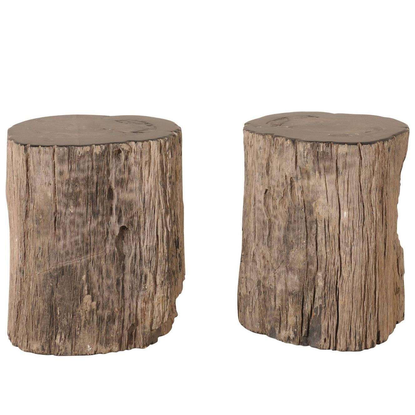 Pair of Black Petrified Wood Fossil Drink or Side Tables, Natural, Polished Wood