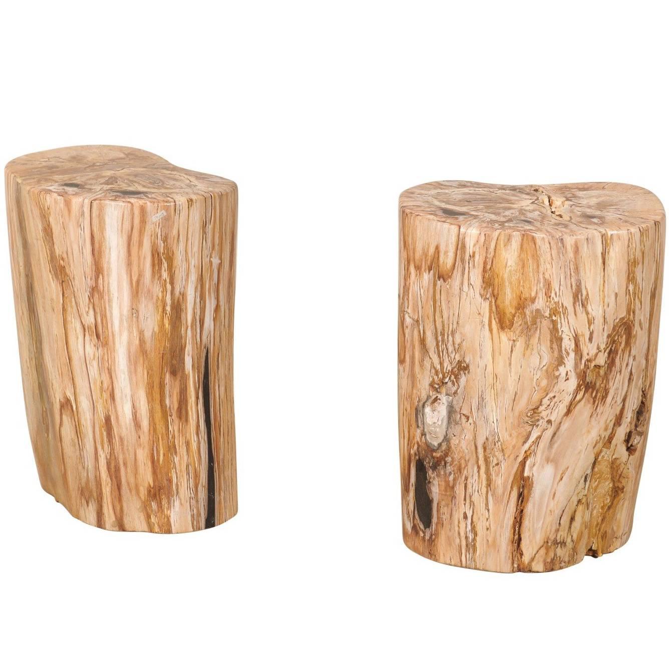 Pair of Light Color Petrified Wood Fossil Drink or Side Tables, Natural Pattern