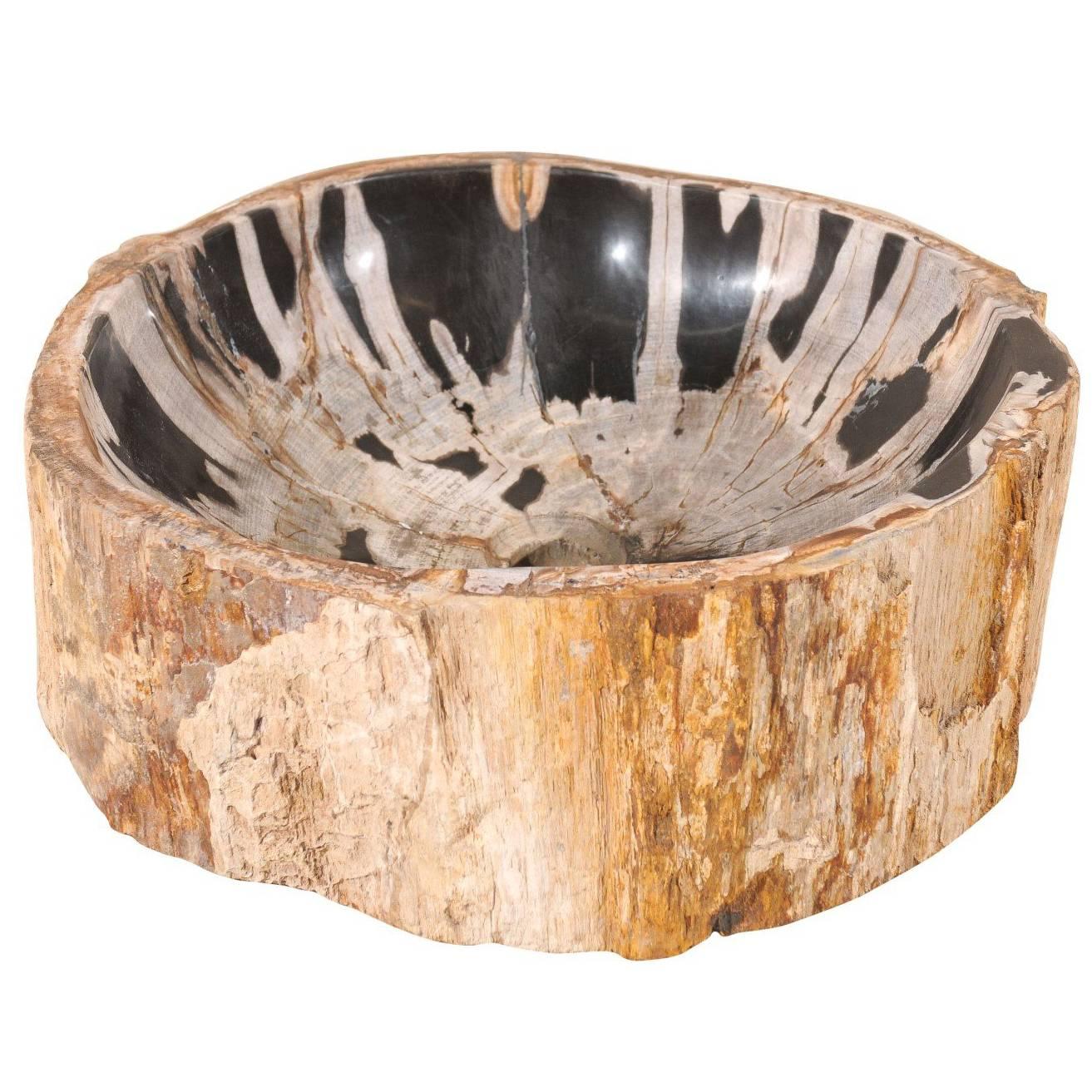 Black and Cream Colored Petrified Wood Sink Great for a Powder Room Vanity