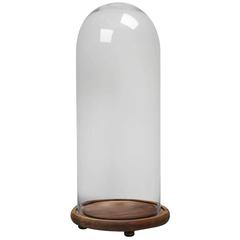 Large Glass Cloche with Footed Wooden Base