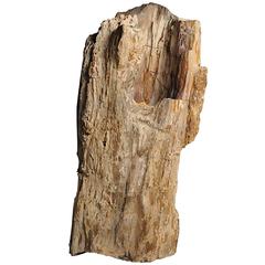 Chinese Petrified Wood Planter