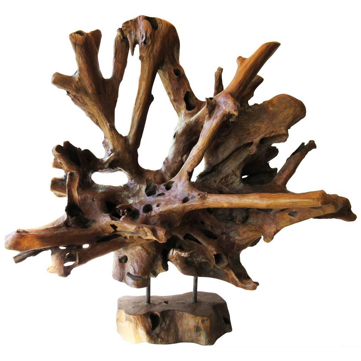 Petrified Wood Sculpture, Organic For Sale