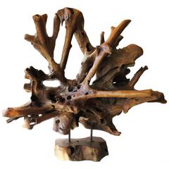Petrified Wood Sculpture, Organic
