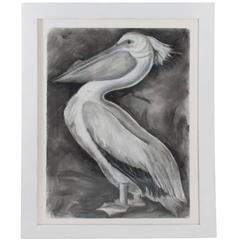 Pastel on Paper of a Pelican by Marianne Stikas