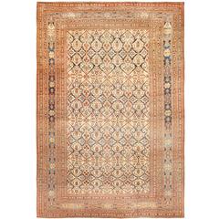 Extremely Fine Antique Persian Haji Jalili Tabriz Rug 12