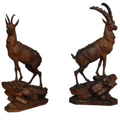 Great Carved Wood Sculptures Ibex and Chamois, 1900