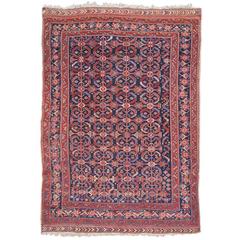 Late 19th Century Indigo and Red Afshar Rug with Rosettes
