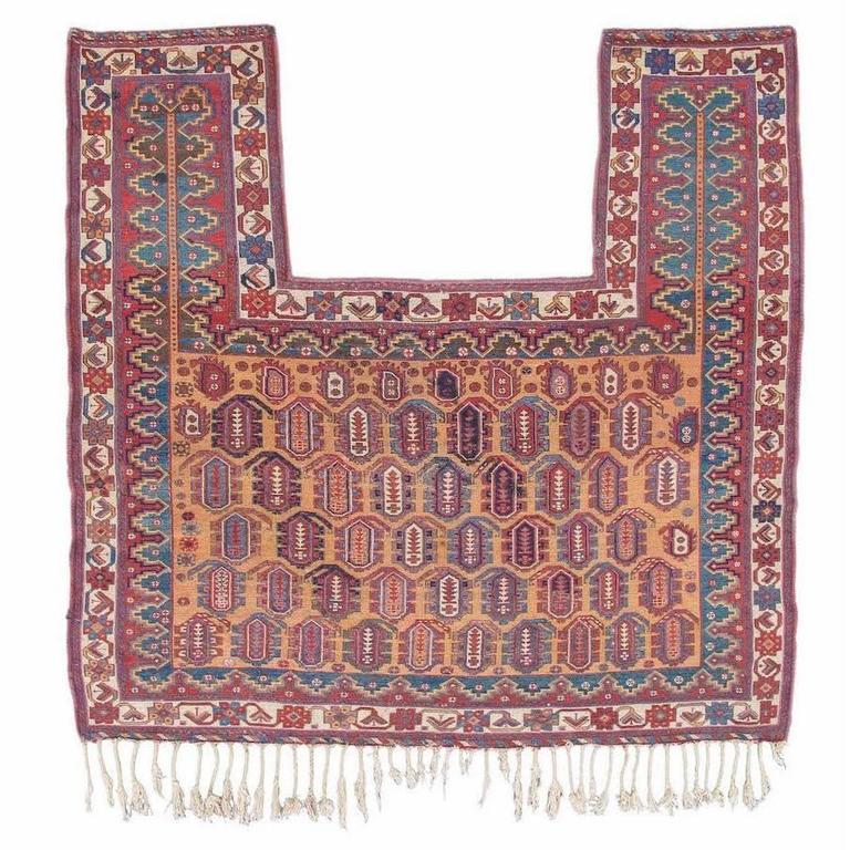 Late 19th Century Afshar Extra Weft Wrapped Horse Cover Rug For Sale