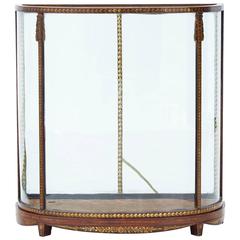 Early 19th Century Mahogany and Painted Decoration Display Case 1