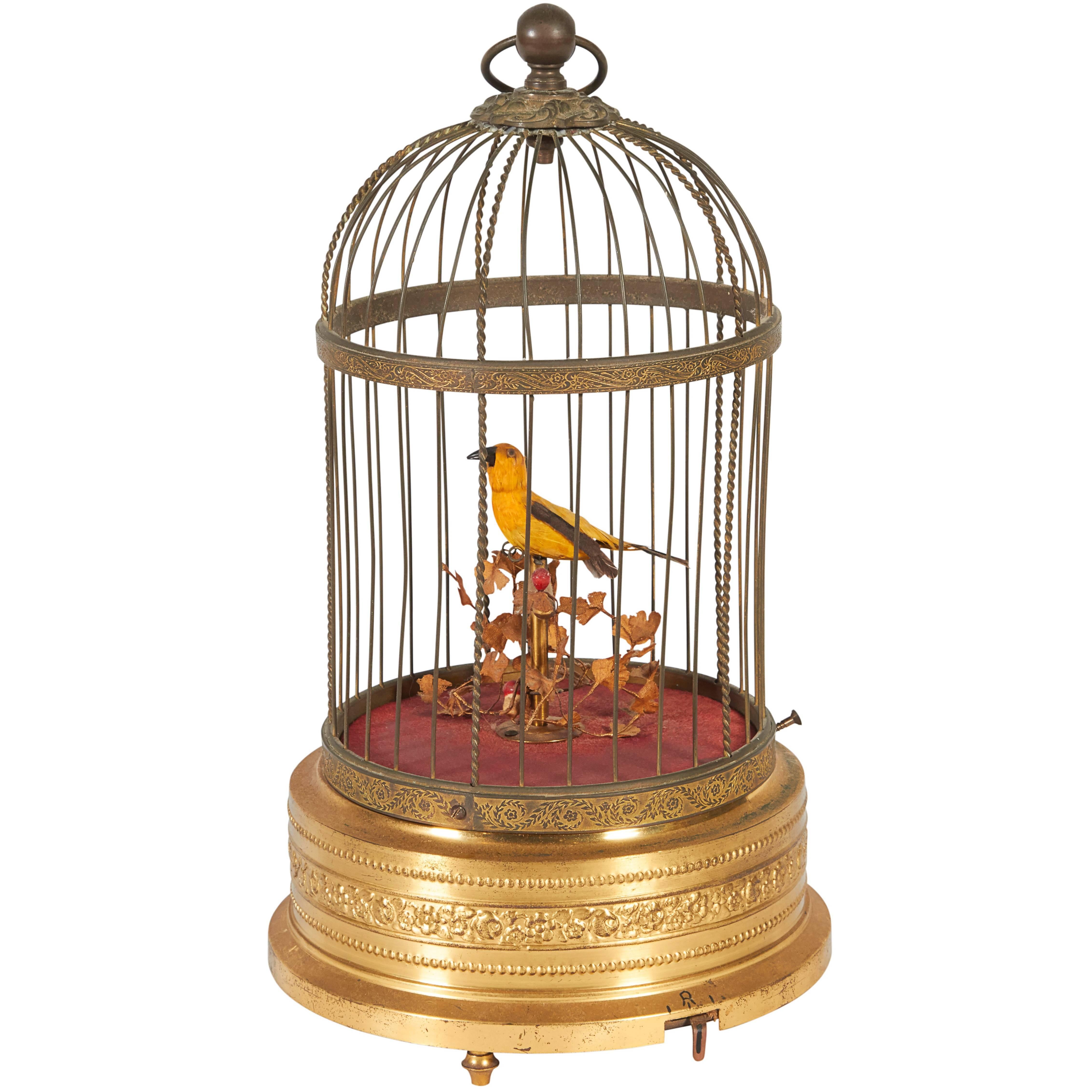 Karl Griesbaum German Brass Singing Bird Cage Music Box, Marked Kg Ken-D