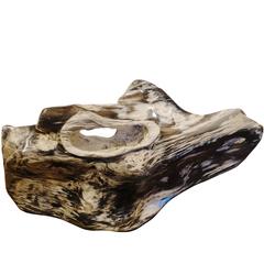 Large Petrified Wood Sculpture, Indonesia, Contemporary