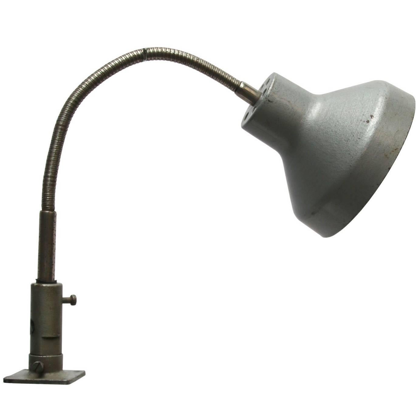 Pranie, Metal Work Light with Flexible Arm