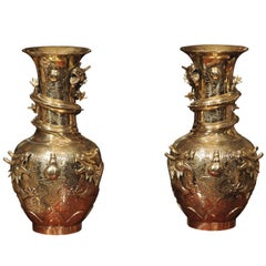Pair of 19th Century Chinese Bronze Vases