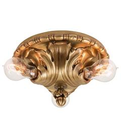 Cast Brass Acanthus Leaf Flush by E.F. Caldwell, circa 1905